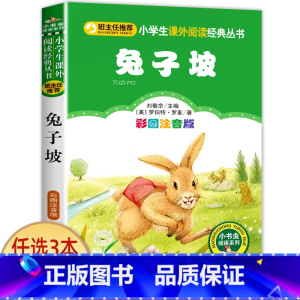 兔子坡 [正版]老师小布头奇遇记孙幼军著注音版一年级二年级三年级必读