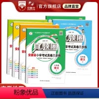 语文[安徽专用] 一年级上 [正版]小学真题圈上下册安徽2024版语文数学英语一二三四五六年级上册下册考试真题卷期中期末