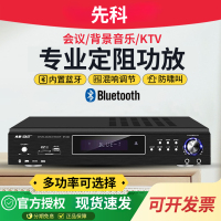 先科(SAST)SA-9019 300定压大功率蓝牙功放机公共广播家用放大器吸顶音柱喇叭U盘壁挂音响门店会议家庭影院组合