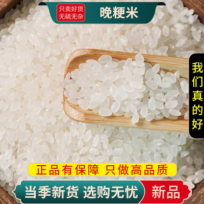 甄选粳米100克粳米煮粥梗晚稻大米另售赤小豆红豆黑米9260