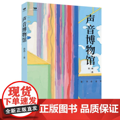 正版文学新势力第二辑 声音博物馆 向迅 著 文学评论家张莉鼎力,为情感的交织和时光的流逝而作 济南出版社