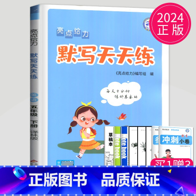 英语 五年级下译林版 [正版]2024亮点给力计算天天练数学默写天天练语文人教版苏教版SJ译林版YL江苏二年级上册一年级
