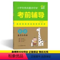 [正版]小学生挑战重点中学考前辅导 英语 备考小升初超能学典 2021小升初系统总复习小升初复习资料江苏凤凰美术出版社