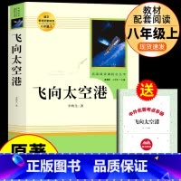 [人教版]飞向太空港 送考试重点 [正版]人教版 昆虫记法布尔原着完整版无删减 人民教育出版社八年级上册课外书必读的名著