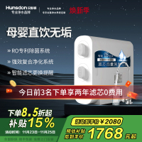 汉斯顿/Hunsdon[国家补贴] 0阻垢剂添加净水器家用直饮净水机厨下式RO反渗透母婴直饮机自来水过滤器D3