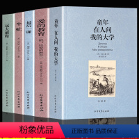经典世界名著全5册 [正版]全套5册 经典世界名著 爱的教育 童年在人间我的大学 牛虻 远大前程 zui后一课正 外国文
