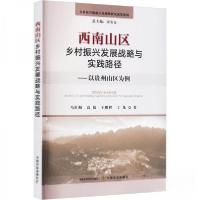 正版新书]西南山区乡村振兴发展战略与实践路径马红梅 高倩 王鹏