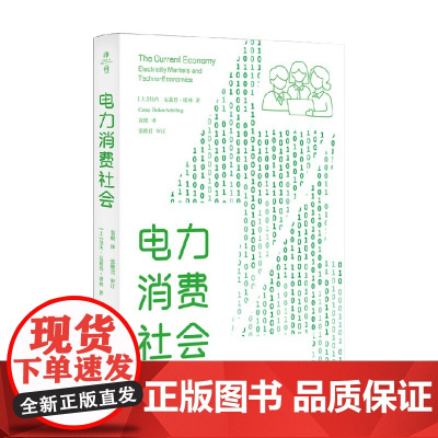 电力消费社会 卡内·厄兹登-席林 著 社会科学
