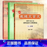 走进文言文6789年级(套装3本) 初中通用 [正版]全套3本走进文言文课外阅读与训练六七八九年级杨振中初中文言文全解一