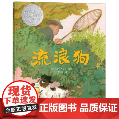 流浪狗(精) 一只流浪狗找到属于自己的“家”的故事,一个小小的善举,可以拉近人与动物的距离