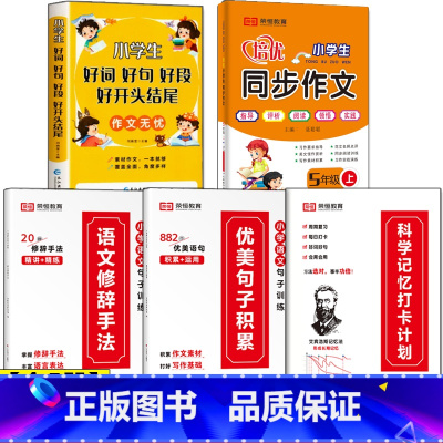 [五年级全5册]句子训练三册+好词好句+5年级上册同步作文 小学通用 [正版]小学语文优美句子积累大全修辞手法打卡计划手