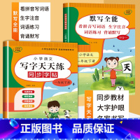 2本:字帖+默写一年级[下册] [正版]2025新 小学语文同步练字帖人教版写字天天练 一年级二年级三年级上下册四五六年