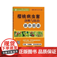 樱桃病虫害诊断与防治原色图谱 燕继晔,张玮,王山宁 编 中国农业出版社9787109281028