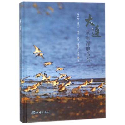 正版新书]大连滨海湿地鸟类马明辉9787521000375