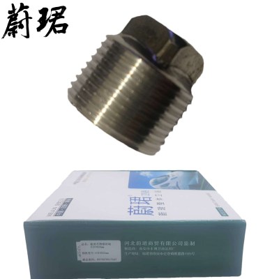 蔚珺不锈钢丝堵6分DN20mm个