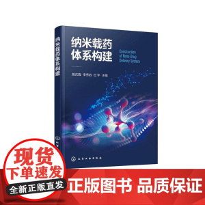 纳米载药体系构建