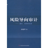 音像风险导向审计:理论.准则和实务唐建华