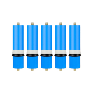 讯博士 JYLX2200 适用J2313-R0S63C RO膜滤芯 5个/包 1包