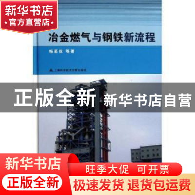 正版 冶金燃气与钢铁新流程 杨若仪等著 上海科学技术文献出版社