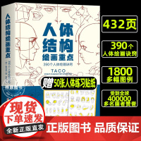 人体结构绘画重点 人体结构 人体绘画 崔元喜 TACO人体 解剖 人体结构绘画教程 绘画技巧 绘画教程 北京科学技术