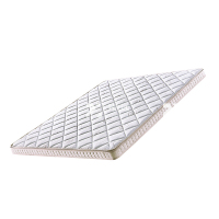 臻远 ZY3120206 棕垫护脊3E椰棕床垫 1200*2000*150 1张