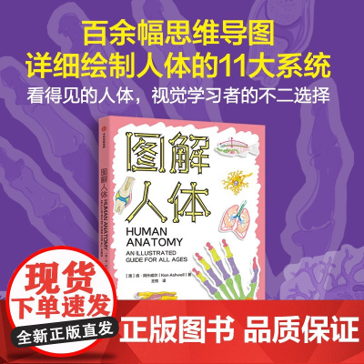 图解人体 肯·阿什威尔 著 科普读物