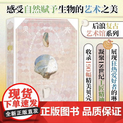 贝壳之美(复古艺术馆)