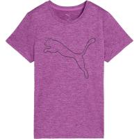 彪马(Puma)女士运动T恤透气速干休闲百搭短袖圆领基础款野莓色他
