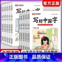 写好中国字[下册] 小学二年级 [正版]抖音同款荣恒小学生写好中国字正楷临摹儿童硬笔楷书一二年级三四上下册同步练字帖课课