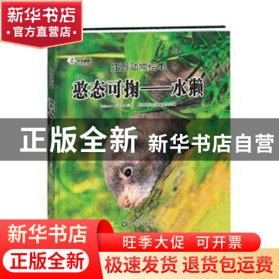 正版 憨态可掬:水獭 狂野动物绘本编委会编 黑龙江美术出版社 978