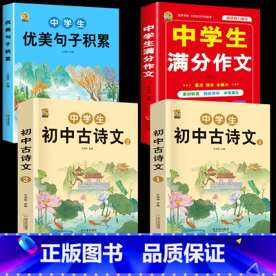[4本]优美句子+满分作文+古诗文2本 初中通用 [正版]初中生中考满分作文2023年语文每日优美句子积累大全初中版七八