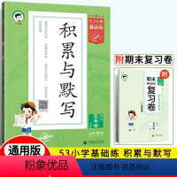 语文 五年级下 [正版]2024春53小学基础练积累与默写五年级下册语文 五三小学学霸天天默写小达人5年级语文天天练习册