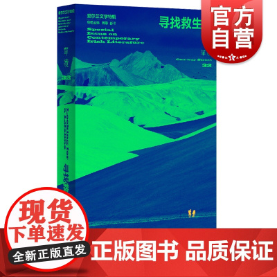 寻找救生艇:爱尔兰文学特辑 单读32现代小说集上海文艺出版社