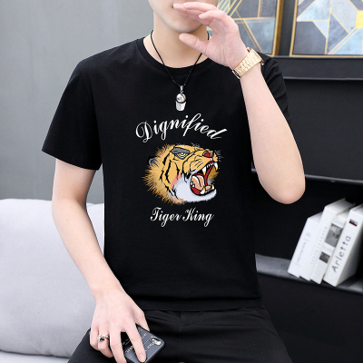 FNLNDO男士T恤新款夏季休闲宽松纯棉潮流百搭男装大码上衣