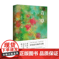 青草 罗伟章 著 小说