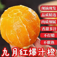 三峡中国脐橙之乡应季新鲜水果九月红爆汁橙9斤中果65-70MM/箱