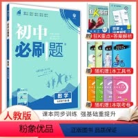 数学 七年级下 [正版]2024版 初中必刷题七年级下册数学人教版 中考必刷题7年级数学同步练习册试卷题库 初一七下数学