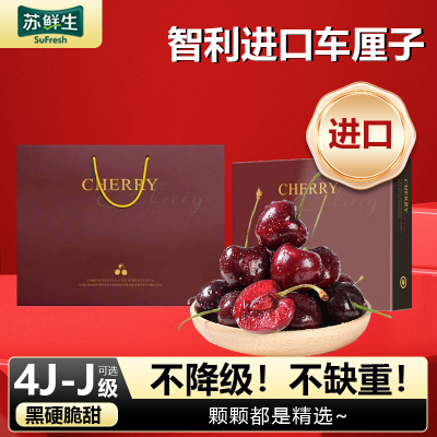 礼盒装[苏鲜生]顺丰空运 智利进口车厘子 J 净重5斤装 应季车厘子 新鲜水果 酸甜可口