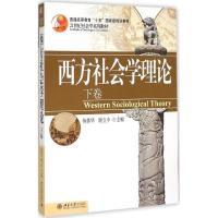 正版新书]西方社会学理论(下卷)杨善华9787301100868