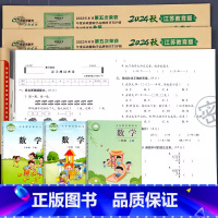 [苏教版]数学+[人教版]语文+[译林版]英语 六年级上 [正版]2024秋新版 苏教版小学数学试卷测试卷全套一年级二三