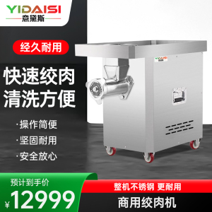 意黛斯(YIDAISI)商用绞肉机饭堂食堂碎肉绞馅搅肉灌肠机灌肠200kg/h YDS-HDJ-32