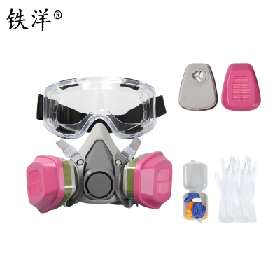 铁洋 防毒面具防毒气 TY-HX019 套