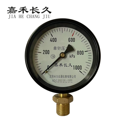 嘉禾长久+风表(压力表)+Y100 1.6级+块