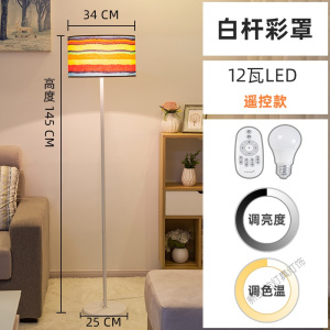 苏宁放心购 落地灯卧室床头温馨可调光简约现代遥控LED客厅北欧ins风立式台灯