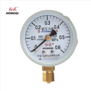 红旗 轴向带边耐震压力表(带检定证书) YTN100ZT 1.6MPA (其他压力表需备注) 块