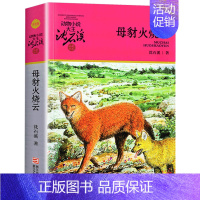 母豺火烧云 [正版]黑熊舞蹈家沈石溪小学四年级五年级全集全套书浙江少年儿童出版社版完整版动物小说大王品藏书系生课外阅读适