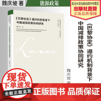 法学著作 《巴黎协定》遵约机制背景下中国减排政策协同研究 魏庆坡 著 节能减排 能源政策 中国政法大学出版社
