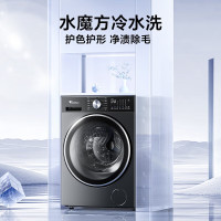 小天鹅TG10DE10 全自动滚筒洗衣机