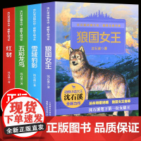 正版4册沈石溪动物小说全集动物故事小说 狼国女王 红豺 雪域豹影 五彩龙鸟 7-12-15岁儿童文学中小学生课外阅读