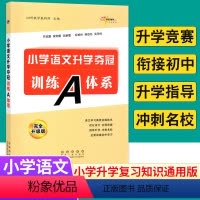 [正版]全国68所小学语文升学夺冠训练A体系 完全升级版小升初语文总复习资料小考语文专项训练升学夺冠知识大集结小升初实